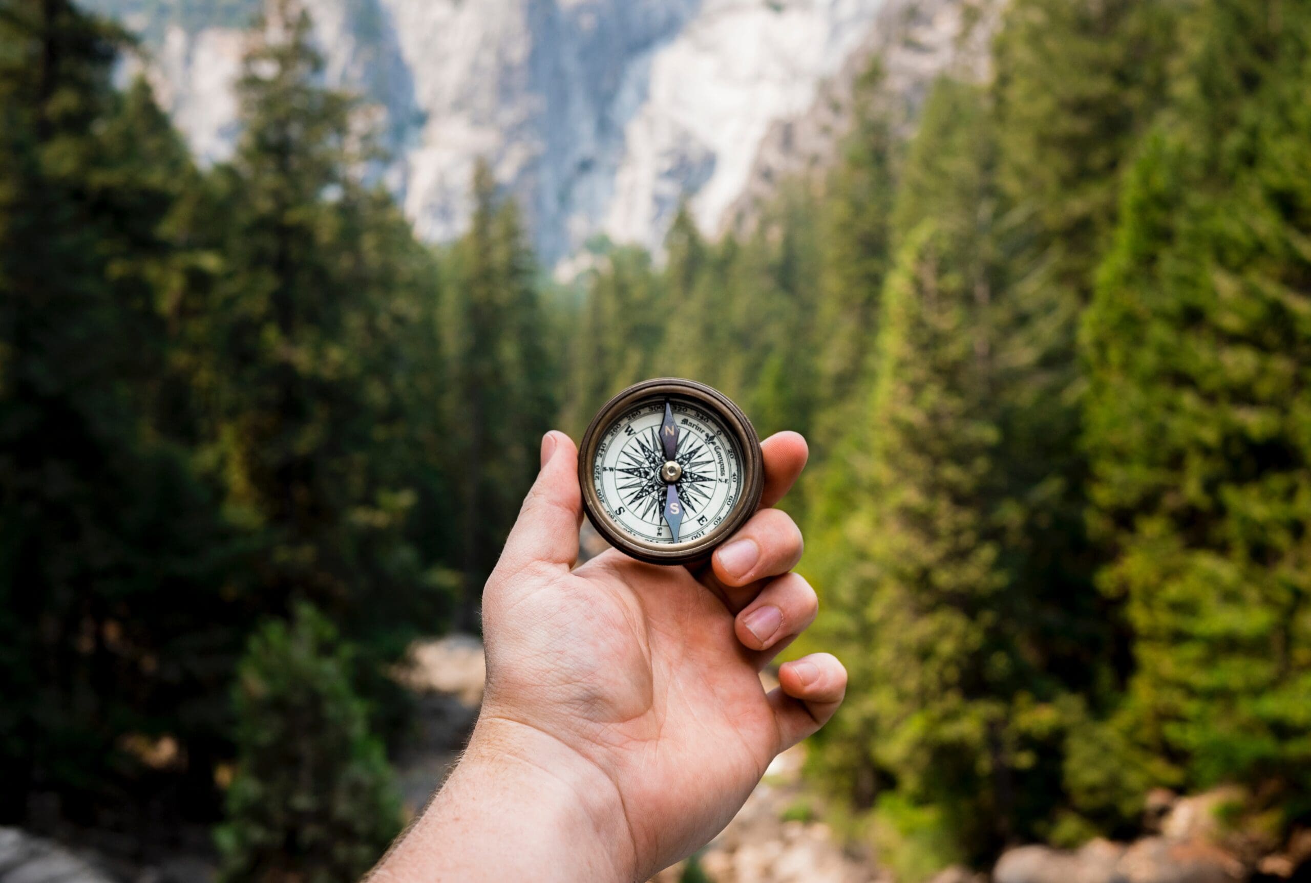 a person holding a compass facing towards greenery